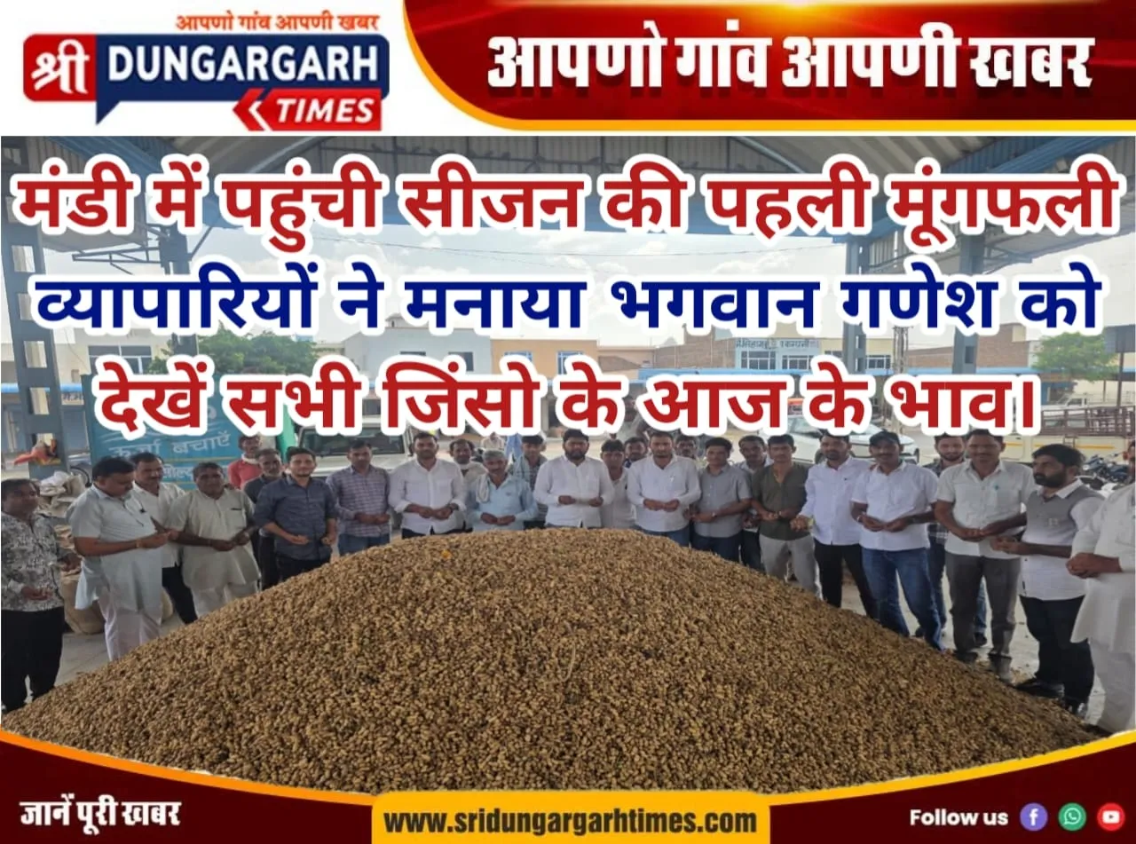 मंडी में पहुंची सीजन की पहली मूंगफली, व्यापारियों ने मनाया भगवान गणेश को, देखें सभी जिंसो के आज के भाव।