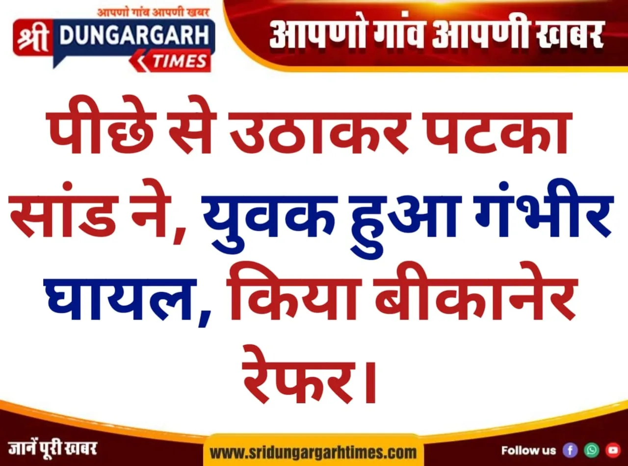 पीछे से उठाकर पटका सांड ने, युवक हुआ गंभीर घायल, किया बीकानेर रेफर।