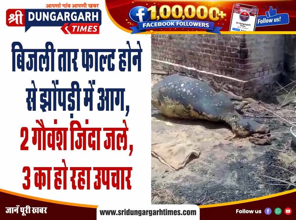 बिजली तार फाल्ट होने से झोंपड़ी में आग, 2 गौवंश जिंदा जले, 3 का हो रहा उपचार