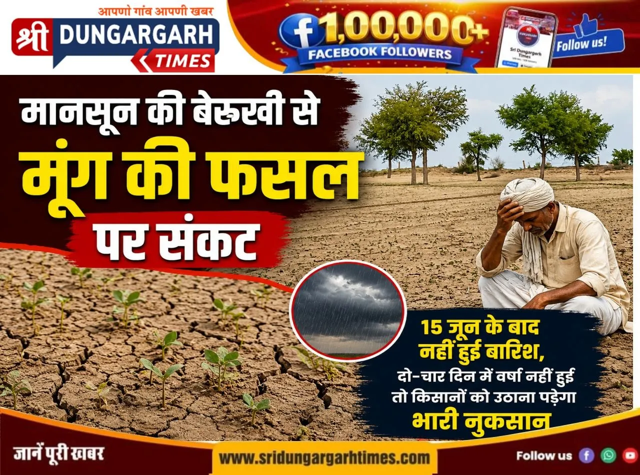 मानसून की बेरुखी से मूंग की फसल पर संकट, तपिश ने बढ़ाई किसानों की चिंता