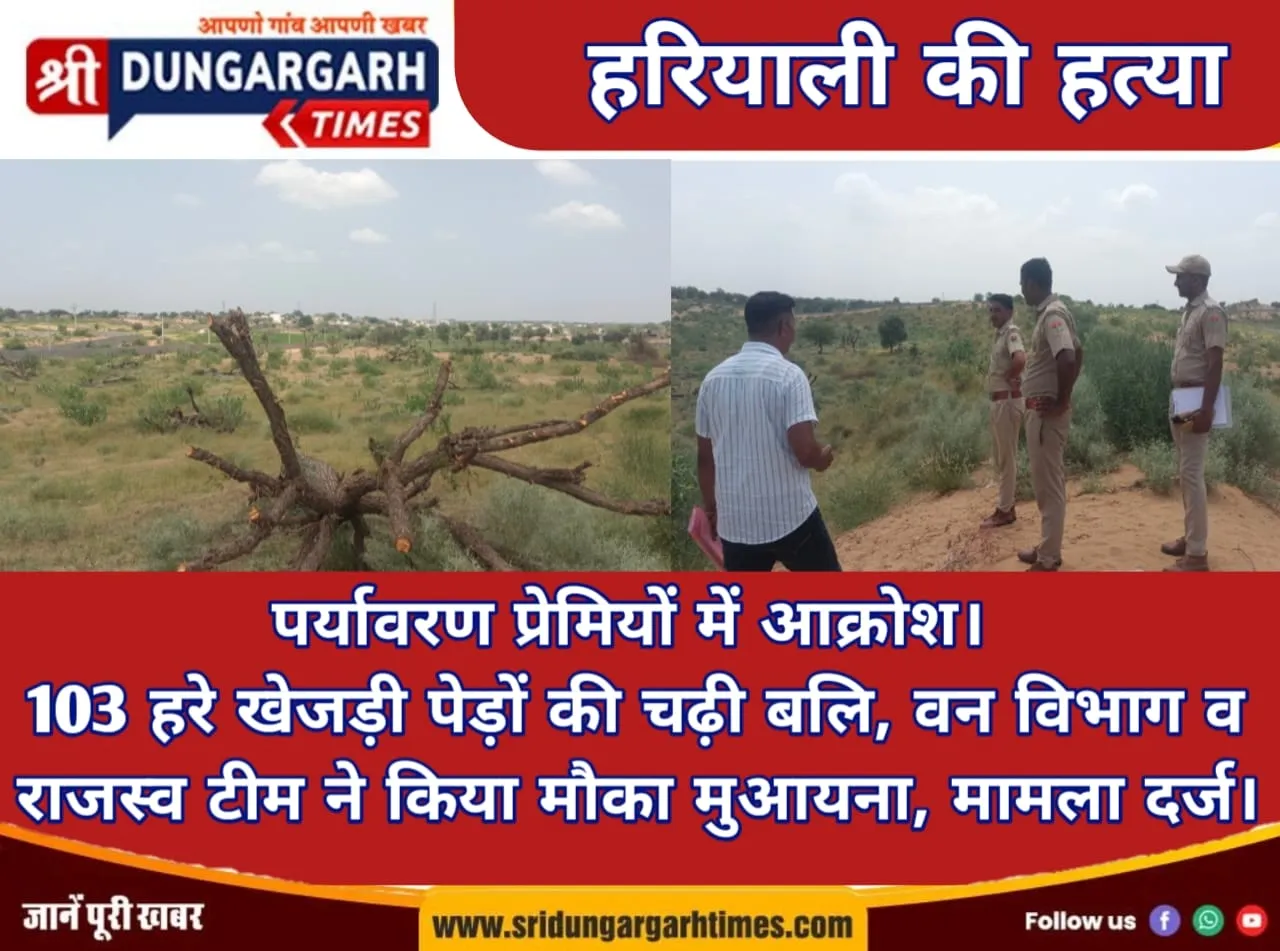 103 हरे खेजड़ी पेड़ों की चढ़ी बलि, वन विभाग व राजस्व टीम ने किया मौका मुआयना, मामला दर्ज।
