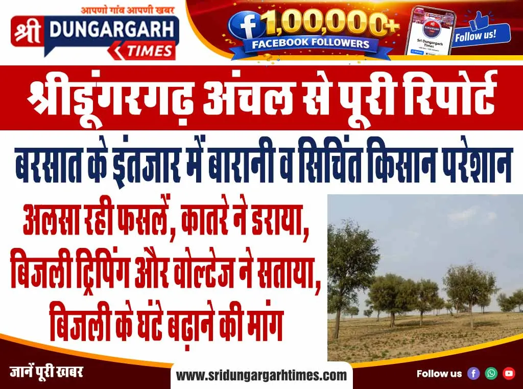 अलसा रही फसलें, कातरे ने डराया, बिजली ट्रिपिंग और वोल्टेज ने सताया, बिजली के घंटे बढ़ाने की मांग