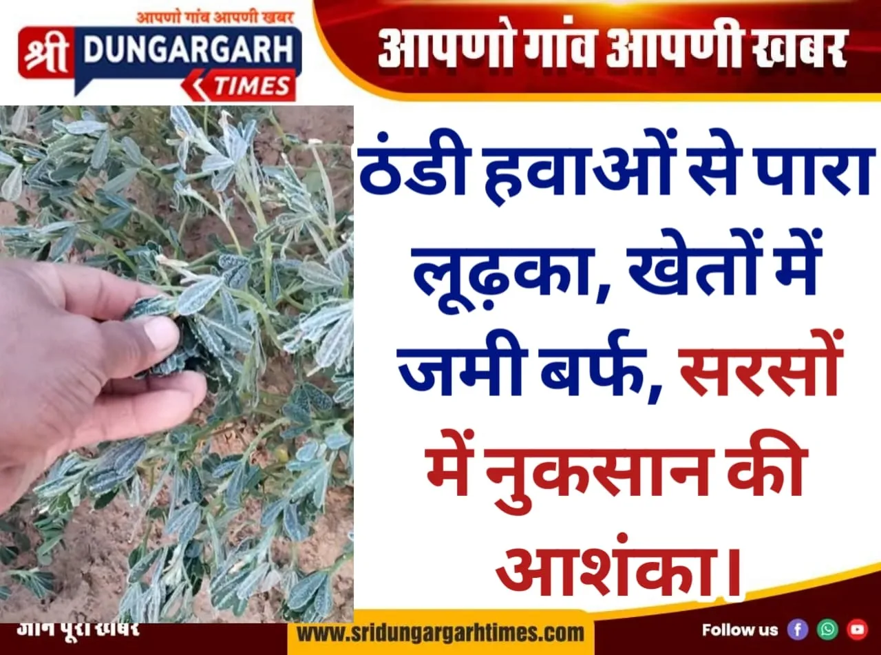 ठंडी हवाओं से पारा लूढ़का, खेतों में जमी बर्फ, सरसों में नुकसान की आशंका।