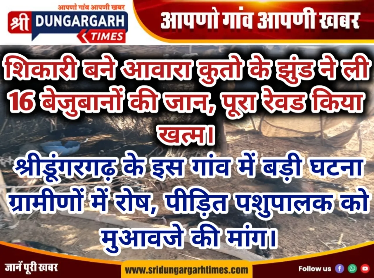 शिकारी बने आवारा कुतो के झुंड ने ली 16 बेजुबानों की जान, पूरा रेवड किया खत्म।
