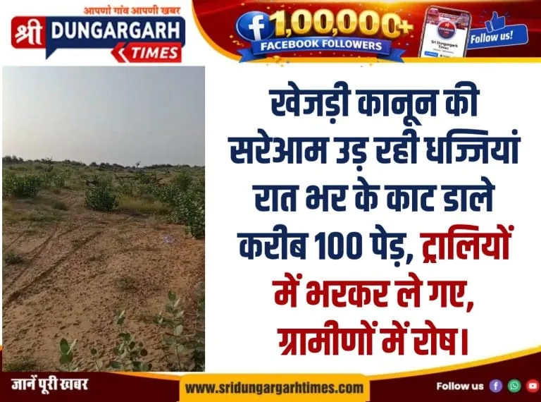 रात के अंधेरे में काट डाले करीब 100 पेड़, ट्रालियों में भरकर ले गए, ग्रामीणों में रोष।