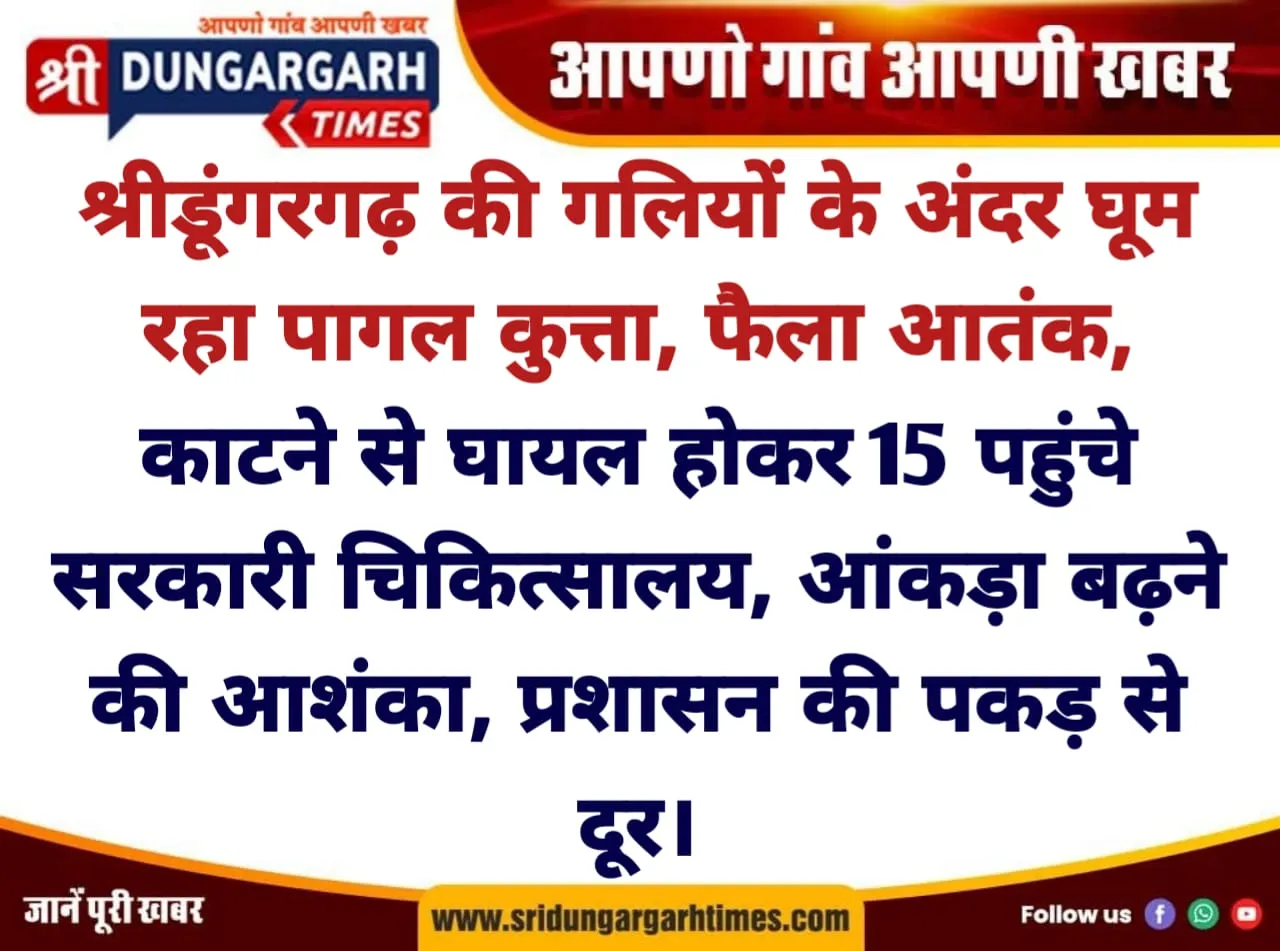 श्रीडूंगरगढ़ की गलियों में घूम रहा पागल कुत्ता, फैला आतंक, काटने से घायल होकर 15 पहुंचें सरकारी चिकित्सालय, आंकड़ा बढ़ने की आशंका, प्रशासन की पकड़ से दूर।