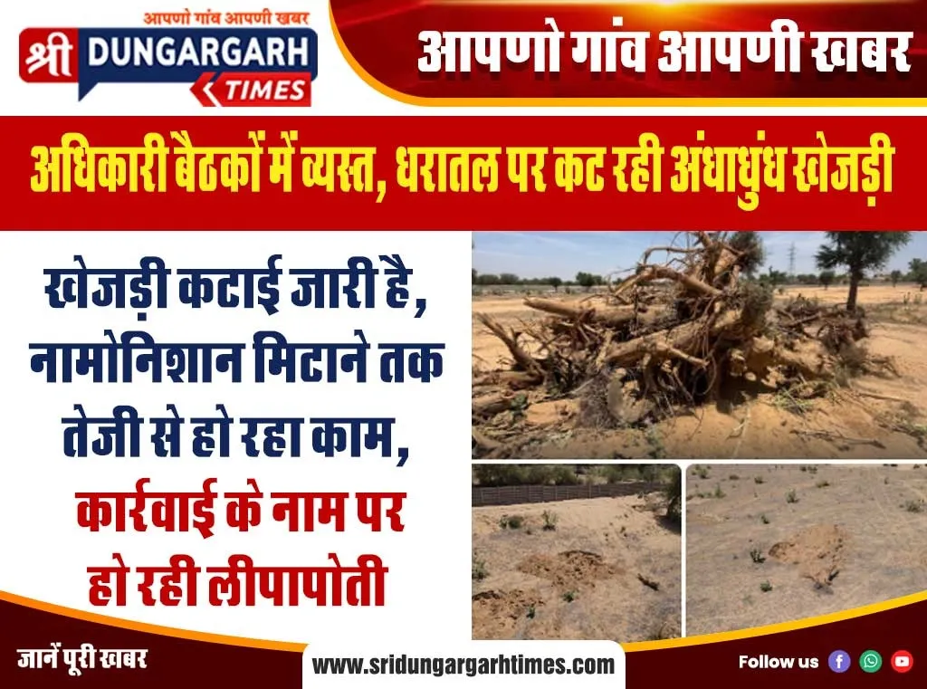 खेजड़ी कटाई जारी है, नामोनिशान मिटाने तक तेजी से हो रहा काम, कार्रवाई के नाम पर हो रही लीपापोती