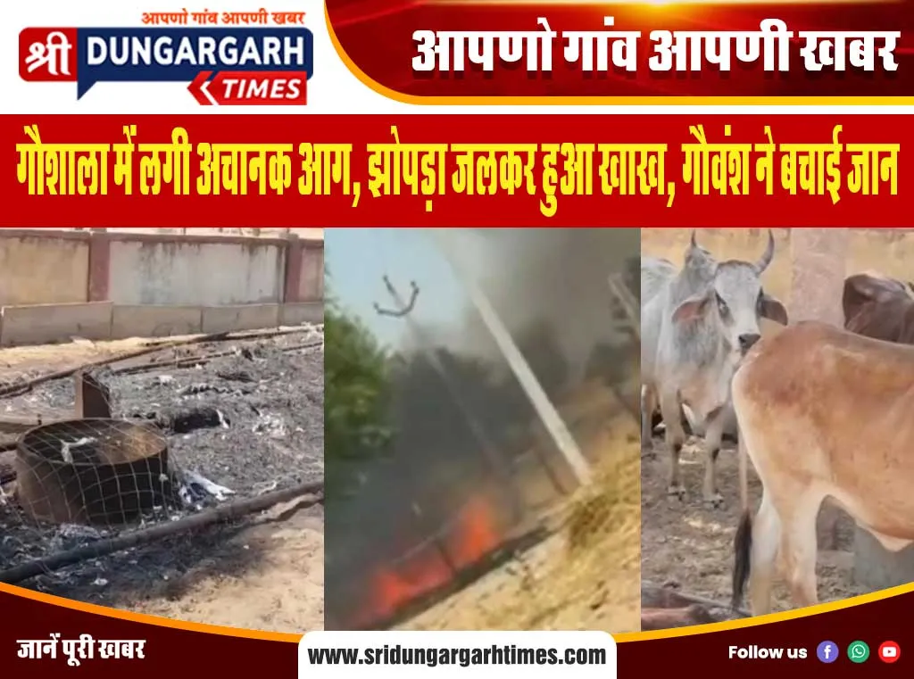 गौशाला में लगी अचानक आग, झोपड़ा जलकर हुआ खाख, गौवंश ने बचाई जान