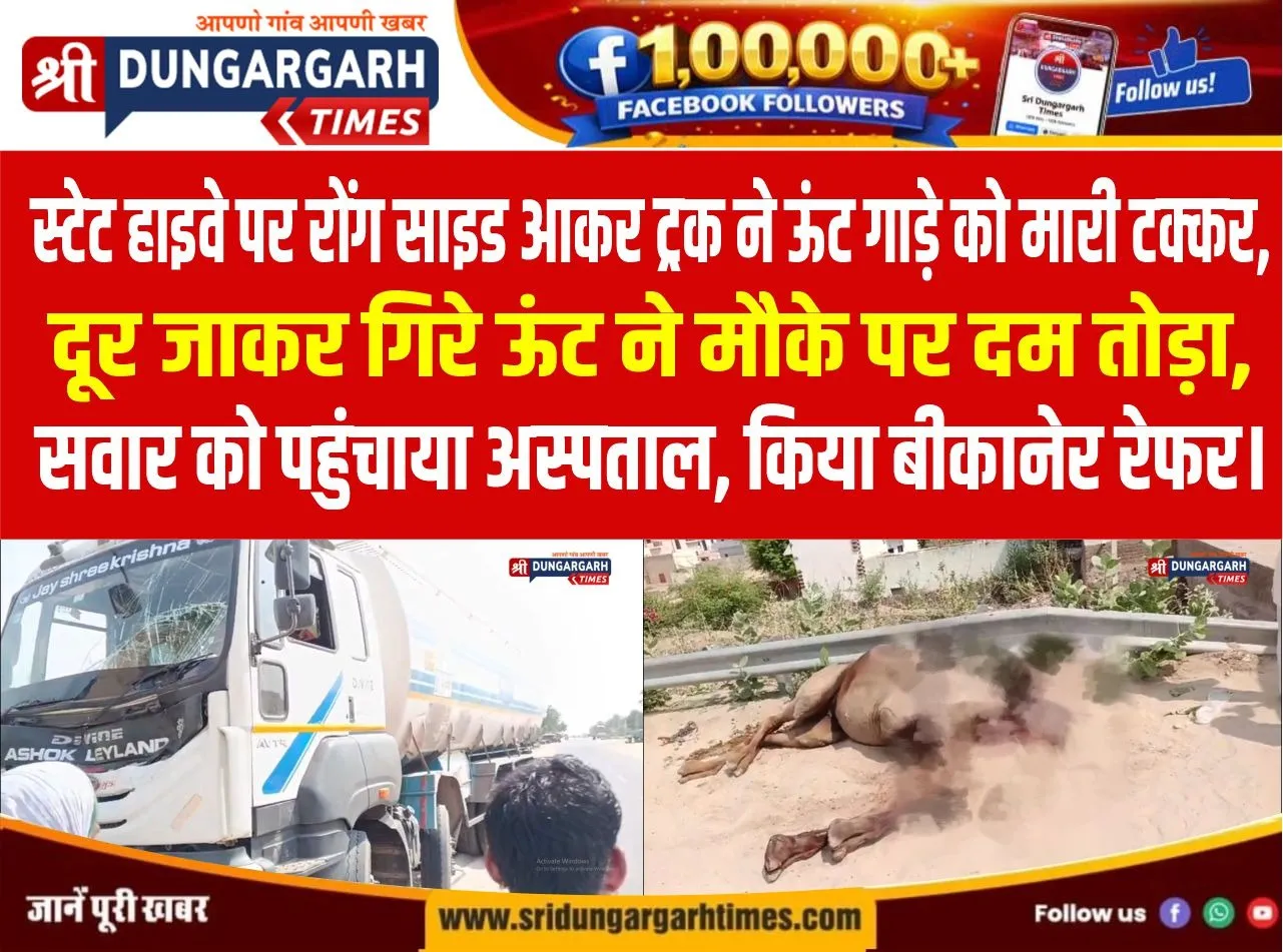 स्टेट हाइवे पर रोंग साइड आकर ट्रक ने ऊंट गाड़े को मारी टक्कर, सवार हुआ घायल।