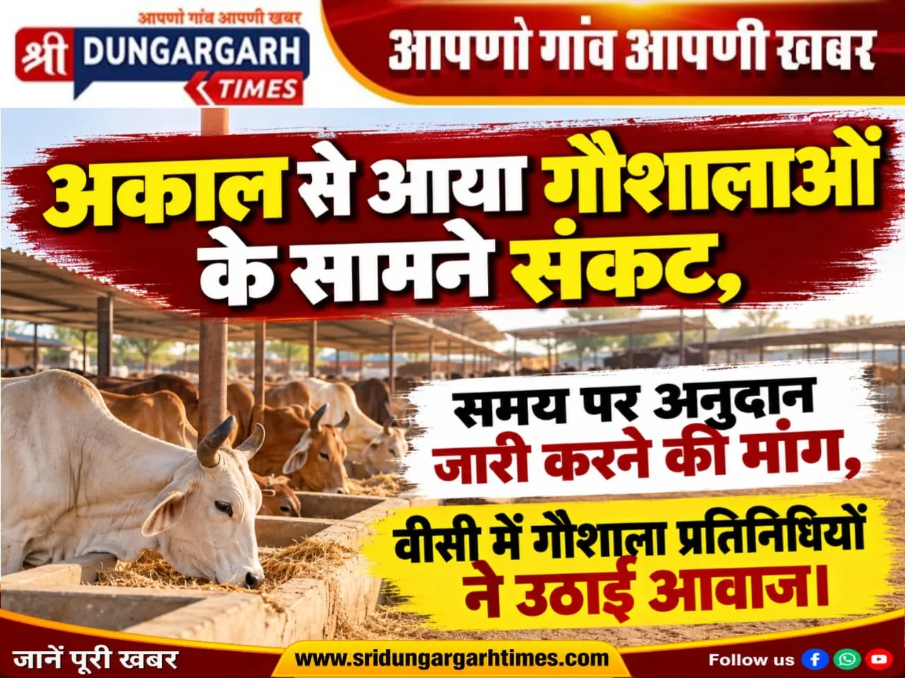 अकाल से आया गौशालाओं के सामने संकट, समय पर अनुदान जारी करने की मांग, वीसी में गौशाला प्रतिनिधियों ने उठाई आवाज।