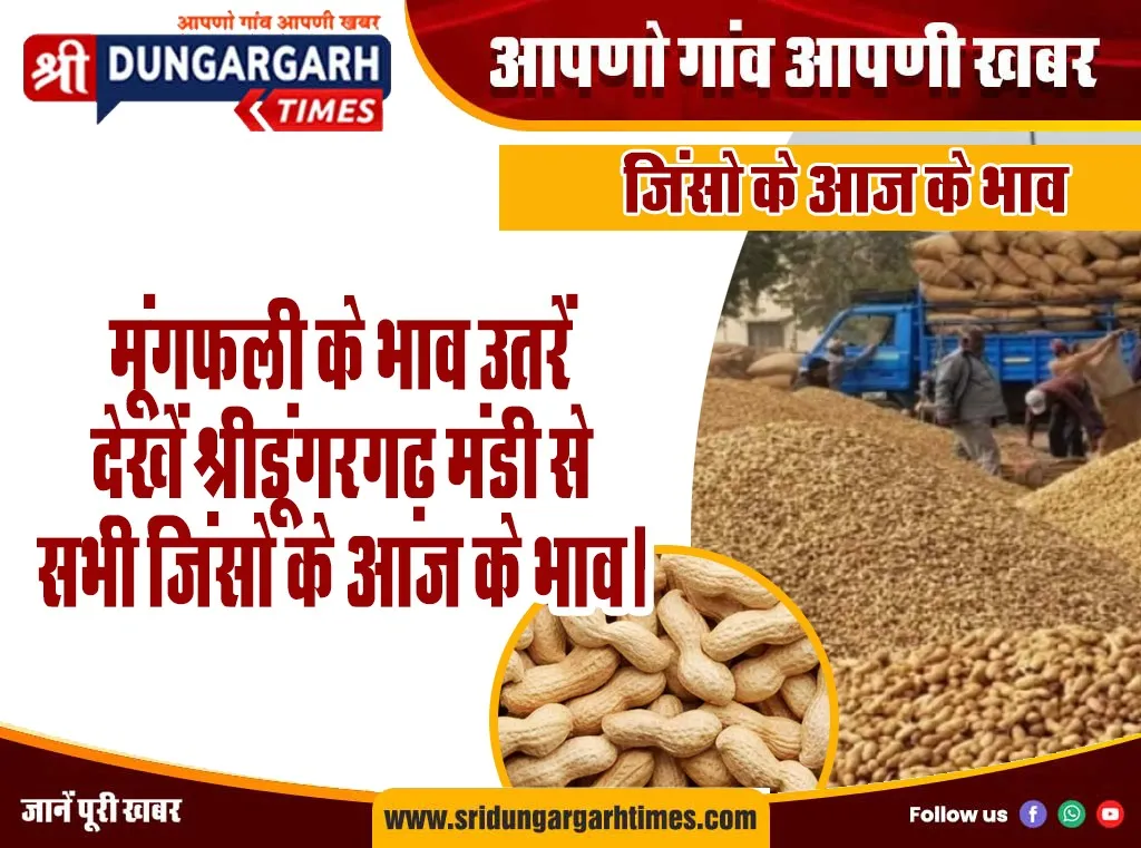 श्रीडूंगरगढ़ मंडी से देखें सभी जिंसो के आज के भाव