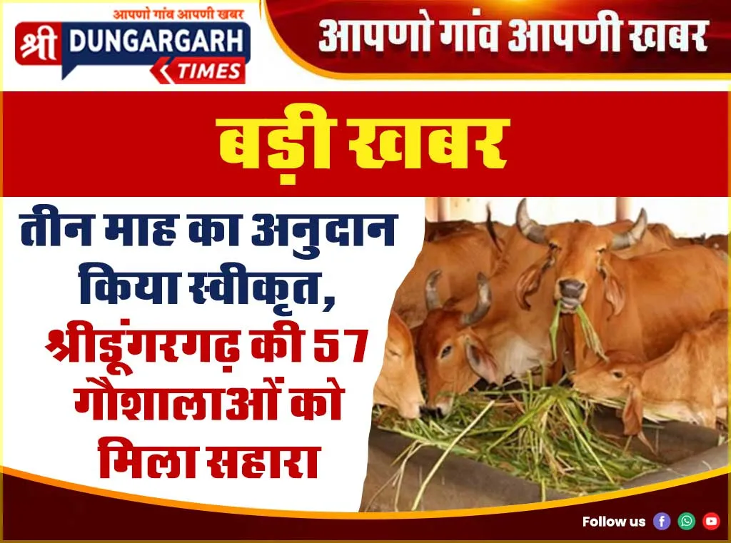 तीन माह का अनुदान किया स्वीकृत, श्रीडूंगरगढ़ की 57 गौशालाओं को मिला सहारा
