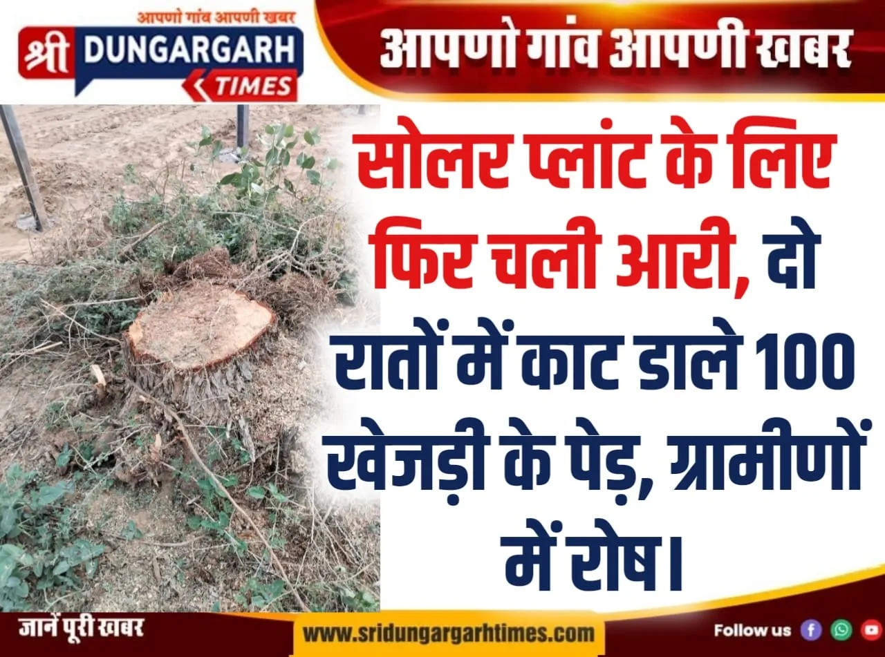 सोलर प्लांट के लिए फिर चली आरी, दो रातों में काट डाले 100 खेजड़ी के पेड़, ग्रामीणों में रोष।