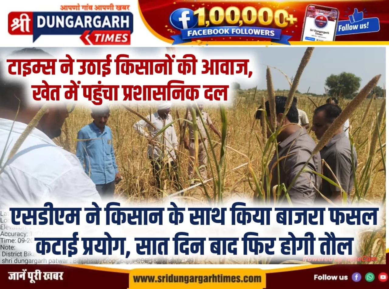 एसडीएम ने किसान के साथ किया बाजरा फसल कटाई प्रयोग, सात दिन बाद फिर होगी तौल