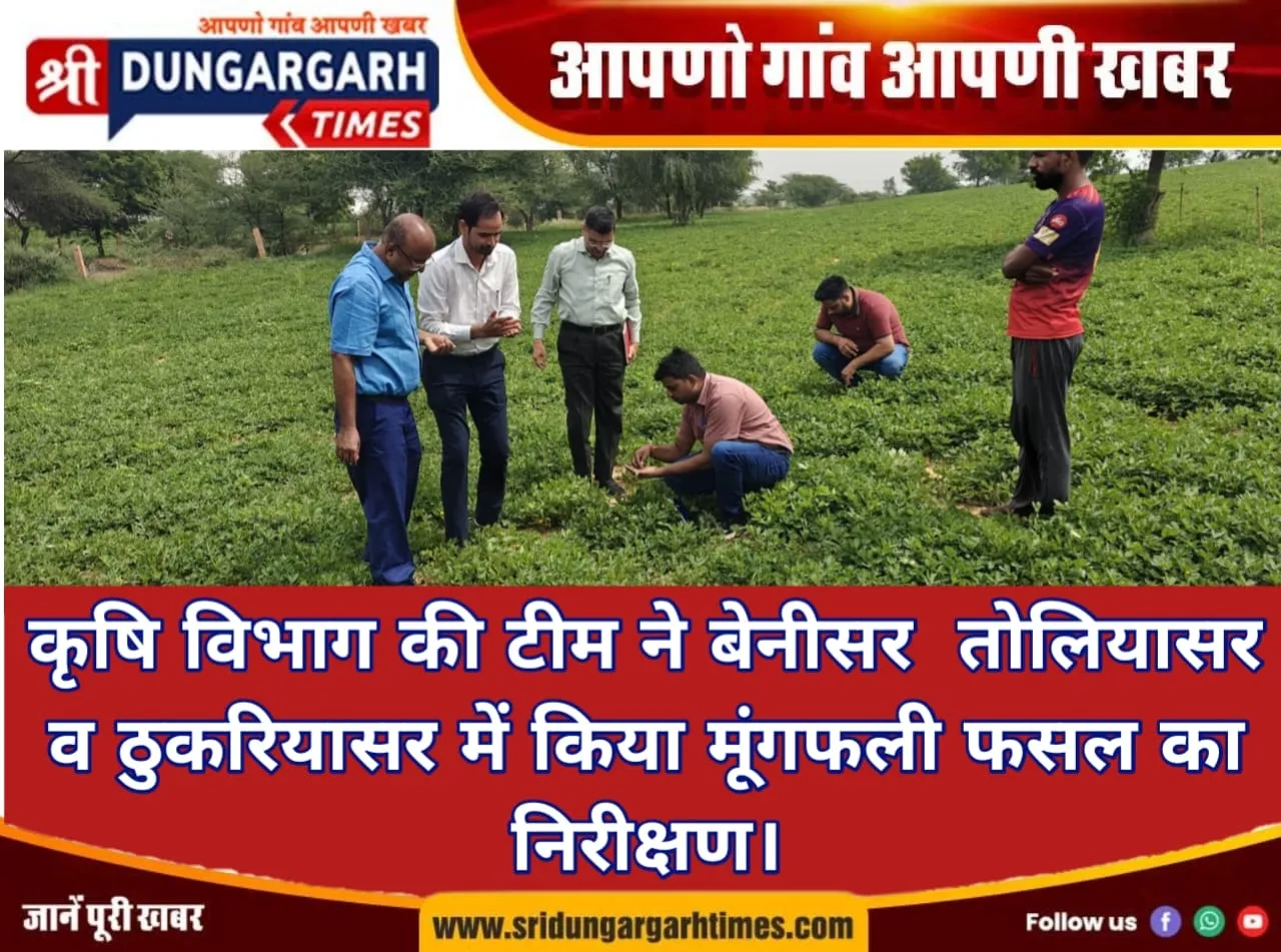 कृषि विभाग की टीम ने बेनीसर, तोलियासर व ठुकरियासर में किया मूंगफली फसल का निरीक्षण।