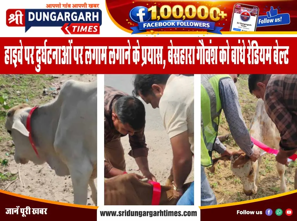 हाइवे पर दुर्घटनाओं पर लगाम लगाने के प्रयास, बेसहारा गौवंश को बांधे रेडियम बेल्ट
