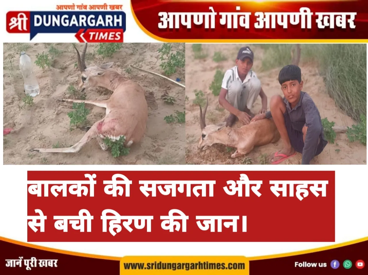 कुत्तों से बचते समय तारबंदी में फंसा हिरण, तीन बालकों ने दिखाई सूझबूझ