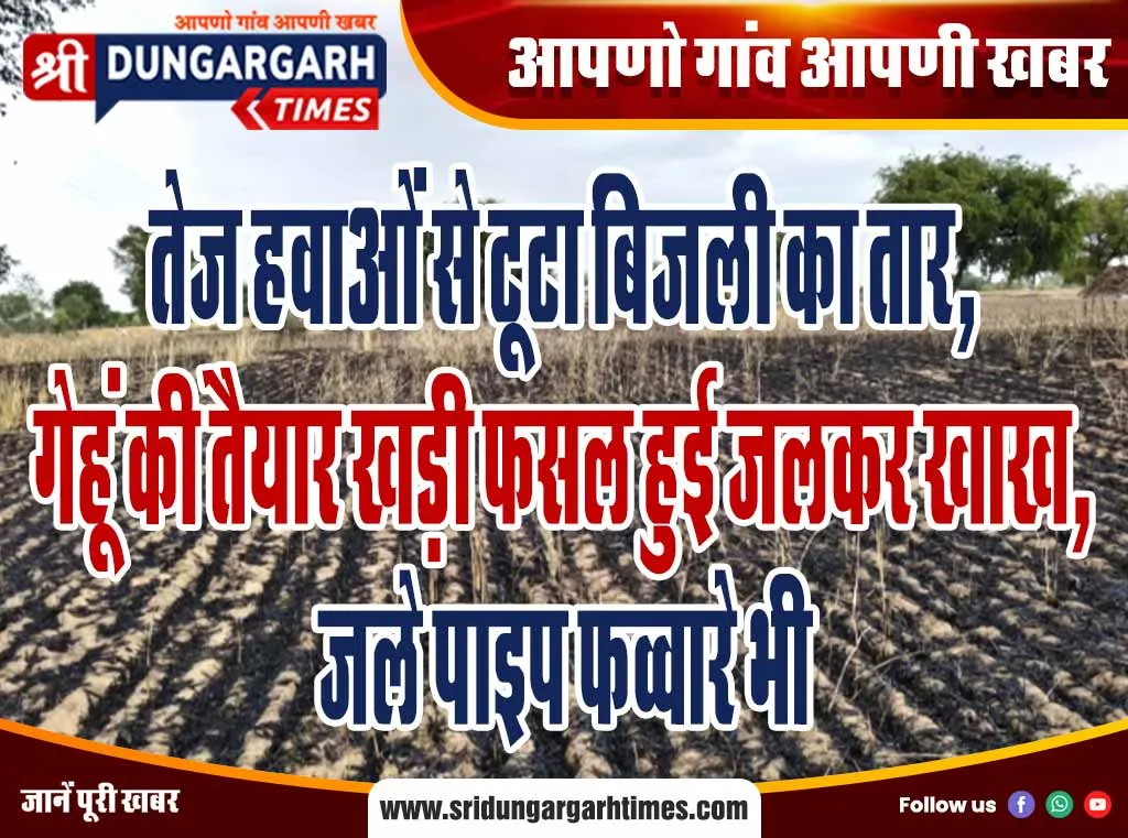 तेज हवाओं से टूटा बिजली का तार, गेहूं की तैयार खड़ी फसल हुई जलकर खाख, जले पाइप फव्वारे भी