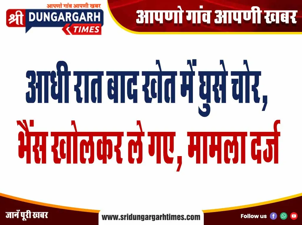 आधी रात बाद खेत में घुसे चोर, भैंस खोलकर ले गए, मामला दर्ज