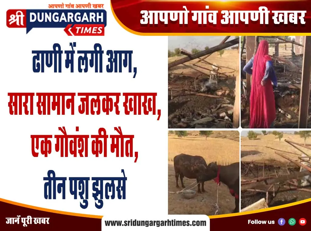 ढाणी में लगी आग, सारा सामान जलकर खाख, एक गौवंश की मौत, तीन पशु झुलसे
