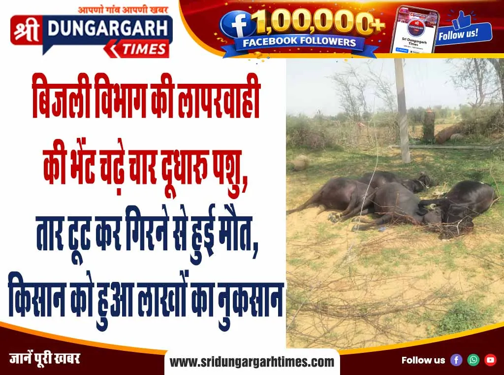 बिजली विभाग की लापरवाही की भेंट चढ़े चार दूधारू पशु, तार टूट कर गिरने से हुई मौत, किसान को हुआ लाखों का नुकसान