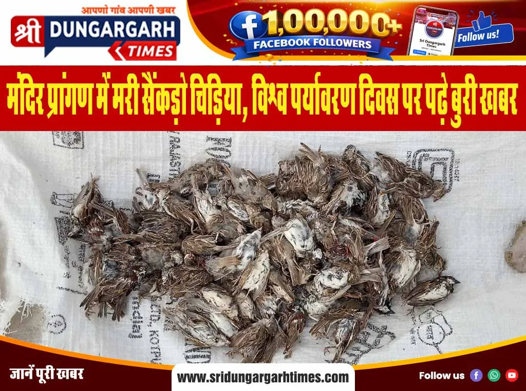 मंदिर प्रांगण में मरी सैंकड़ो चिड़िया, विश्व पर्यावरण दिवस पर पढ़े बुरी खबर