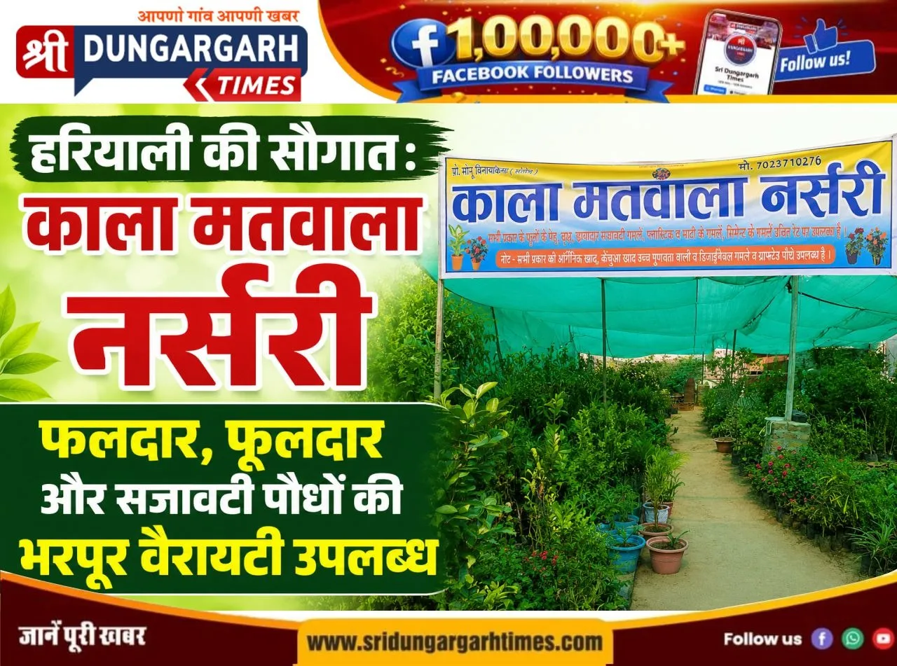 हरियाली की सौगात: काला मतवाला नर्सरी में फलदार, फूलदार और सजावटी पौधों की भरपूर वैरायटी उपलब्ध